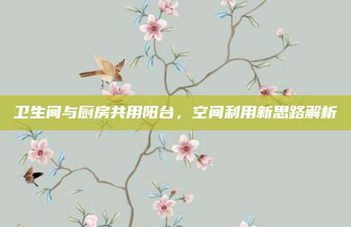 卫生间与厨房共用阳台，空间利用新思路解析
