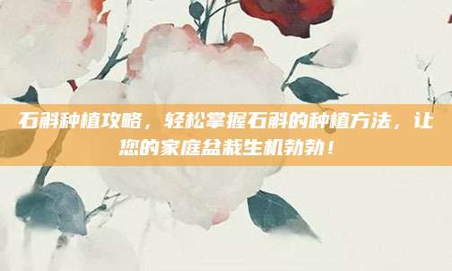 石斛种植攻略，轻松掌握石斛的种植方法，让您的家庭盆栽生机勃勃！
