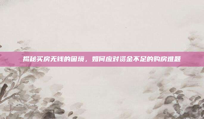 揭秘买房无钱的困境，如何应对资金不足的购房难题