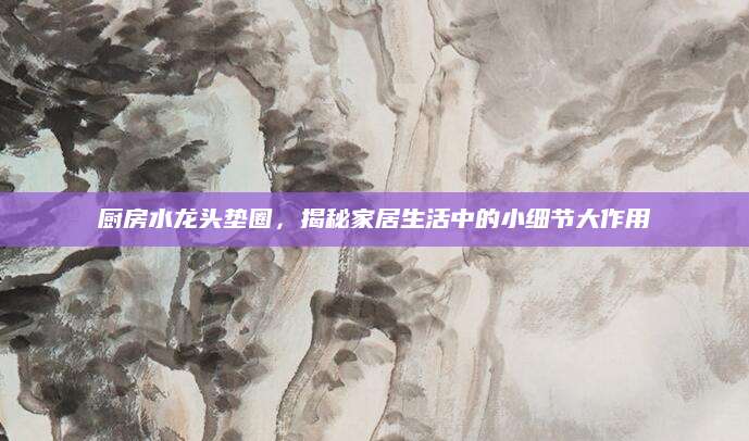 厨房水龙头垫圈，揭秘家居生活中的小细节大作用