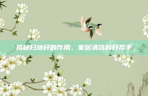 揭秘扫地杆的作用，家居清洁的好帮手