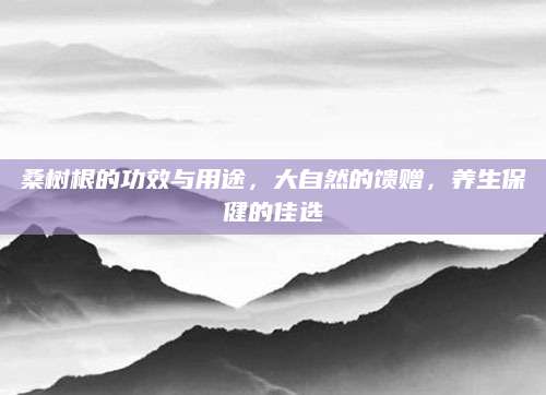 桑树根的功效与用途，大自然的馈赠，养生保健的佳选
