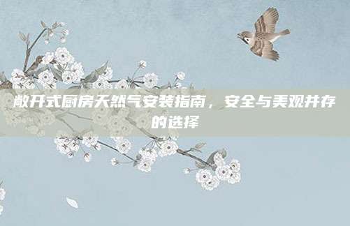 敞开式厨房天然气安装指南，安全与美观并存的选择