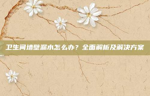卫生间墙壁漏水怎么办？全面解析及解决方案
