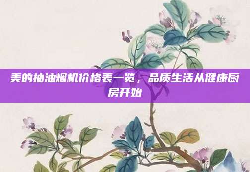 美的抽油烟机价格表一览，品质生活从健康厨房开始