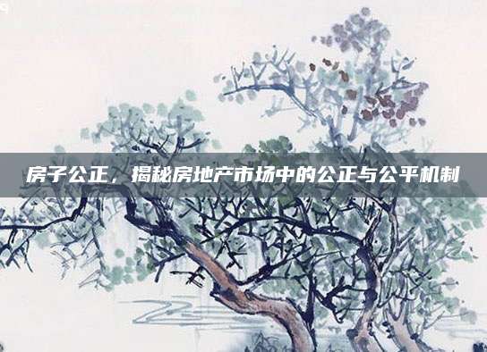 房子公正，揭秘房地产市场中的公正与公平机制