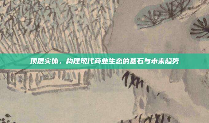 顶层实体，构建现代商业生态的基石与未来趋势
