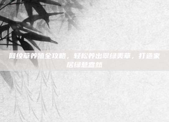 网纹草养殖全攻略，轻松养出翠绿美草，打造家居绿意盎然