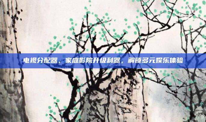 电视分配器，家庭影院升级利器，解锁多元娱乐体验