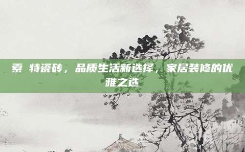 索玞特瓷砖，品质生活新选择，家居装修的优雅之选