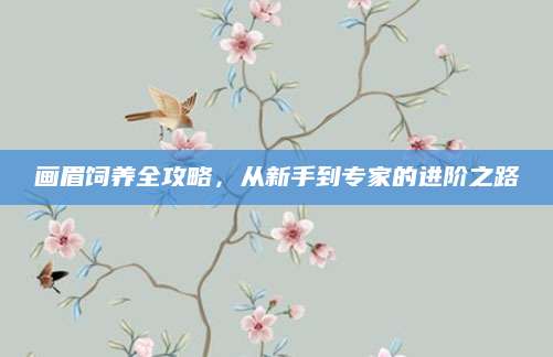 画眉饲养全攻略，从新手到专家的进阶之路