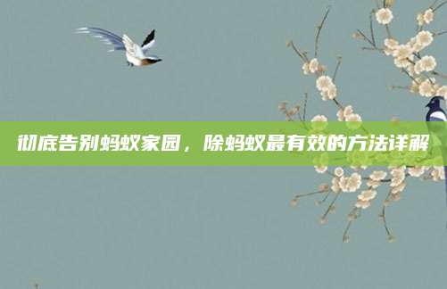 彻底告别蚂蚁家园，除蚂蚁最有效的方法详解