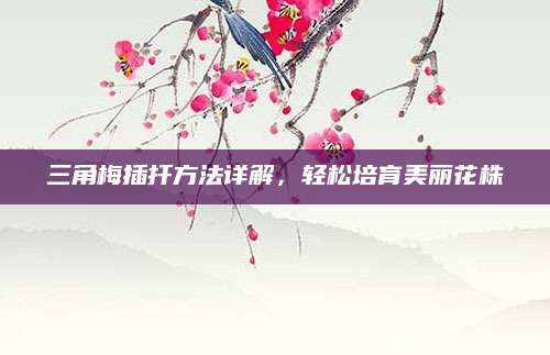 三角梅插扦方法详解，轻松培育美丽花株