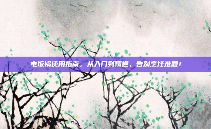 电饭锅使用指南，从入门到精通，告别烹饪难题！