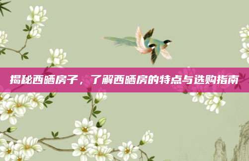 揭秘西晒房子，了解西晒房的特点与选购指南