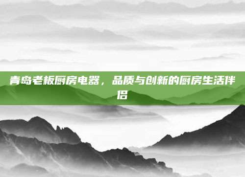 青岛老板厨房电器，品质与创新的厨房生活伴侣