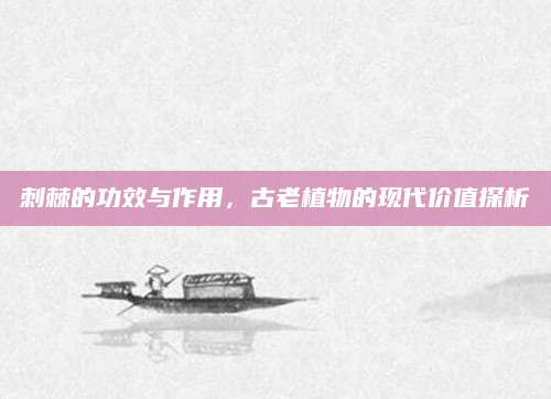 刺棘的功效与作用，古老植物的现代价值探析