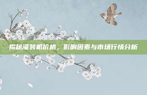 揭秘灌装机价格，影响因素与市场行情分析