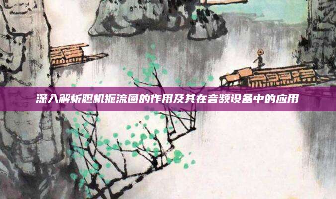 深入解析胆机扼流圈的作用及其在音频设备中的应用