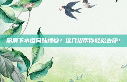 厨房下水道臭味烦恼？这几招帮你轻松去除！