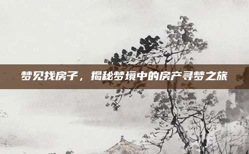 梦见找房子，揭秘梦境中的房产寻梦之旅