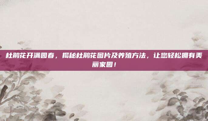 杜鹃花开满园春，揭秘杜鹃花图片及养殖方法，让您轻松拥有美丽家园！