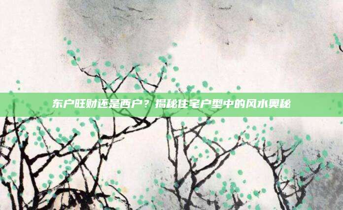 东户旺财还是西户？揭秘住宅户型中的风水奥秘