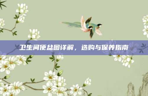 卫生间便盆图详解，选购与保养指南