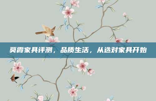 莫霞家具评测，品质生活，从选对家具开始