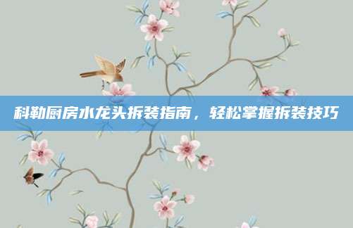 科勒厨房水龙头拆装指南，轻松掌握拆装技巧