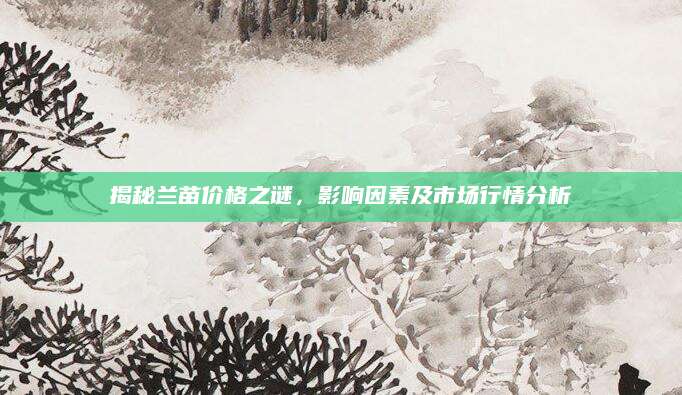 揭秘兰苗价格之谜，影响因素及市场行情分析