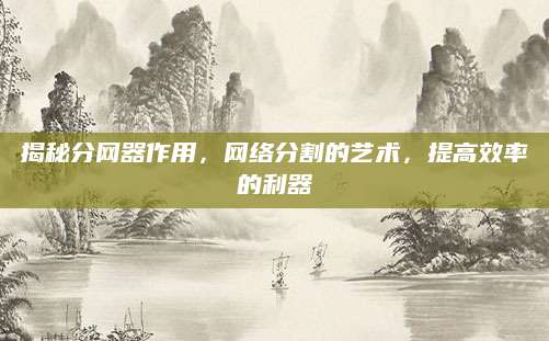 揭秘分网器作用，网络分割的艺术，提高效率的利器