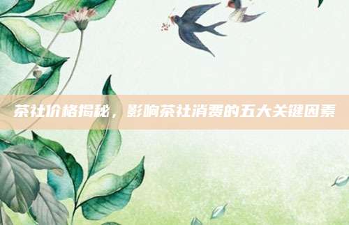 茶社价格揭秘，影响茶社消费的五大关键因素