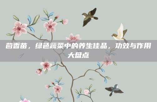 茴香苗，绿色蔬菜中的养生佳品，功效与作用大盘点