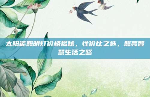 太阳能照明灯价格揭秘，性价比之选，照亮智慧生活之路