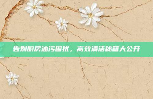 告别厨房油污困扰，高效清洁秘籍大公开