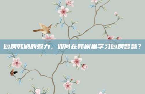 厨房韩剧的魅力，如何在韩剧里学习厨房智慧？