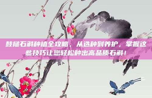 鼓槌石斛种植全攻略，从选种到养护，掌握这些技巧让您轻松种出高品质石斛！