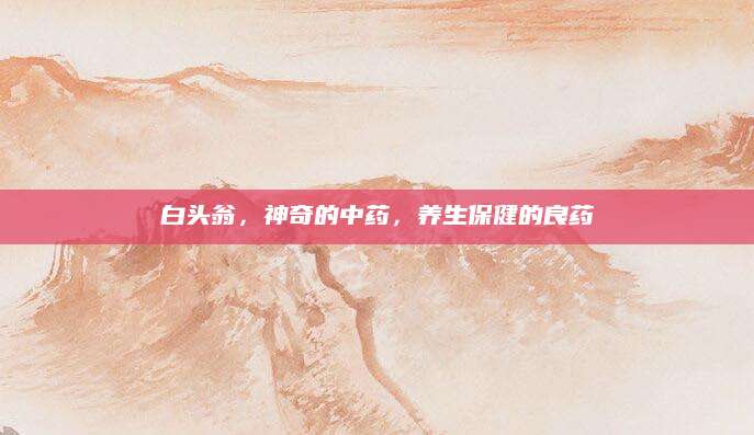 白头翁，神奇的中药，养生保健的良药
