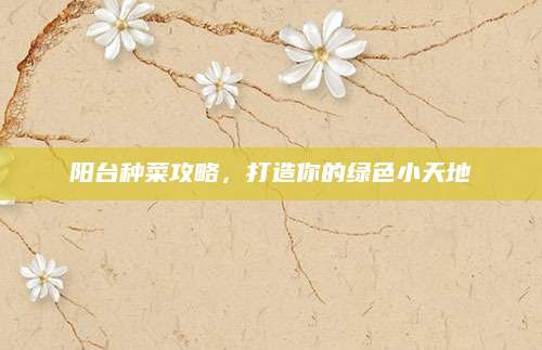 阳台种菜攻略，打造你的绿色小天地