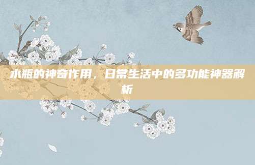水瓶的神奇作用，日常生活中的多功能神器解析