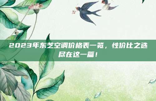 2023年东芝空调价格表一览，性价比之选尽在这一篇！