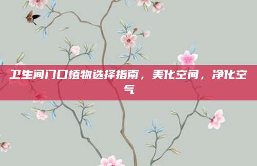 卫生间门口植物选择指南，美化空间，净化空气