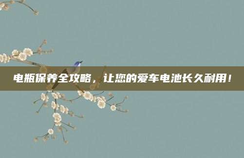 电瓶保养全攻略，让您的爱车电池长久耐用！