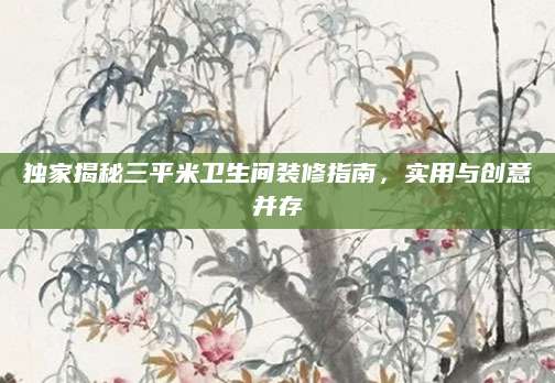 独家揭秘三平米卫生间装修指南，实用与创意并存
