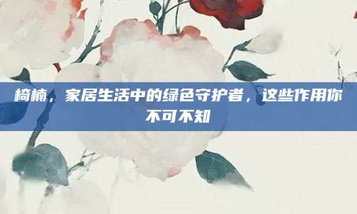 椅楠，家居生活中的绿色守护者，这些作用你不可不知