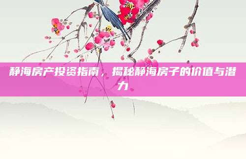 静海房产投资指南，揭秘静海房子的价值与潜力