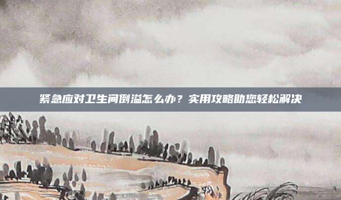 紧急应对卫生间倒溢怎么办？实用攻略助您轻松解决