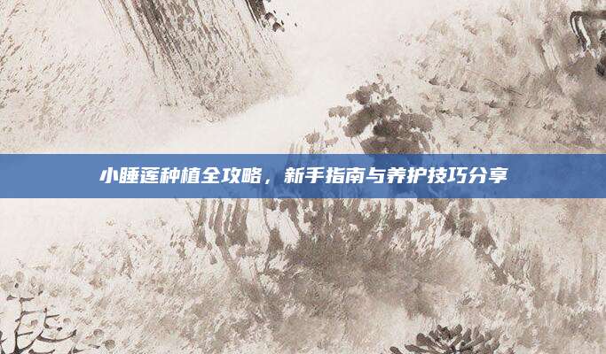 小睡莲种植全攻略，新手指南与养护技巧分享