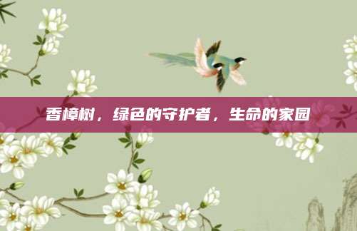 香樟树，绿色的守护者，生命的家园